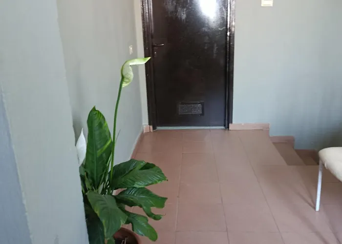 Rezidenca Pahumi 3* Durrës